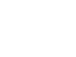 MZ Production